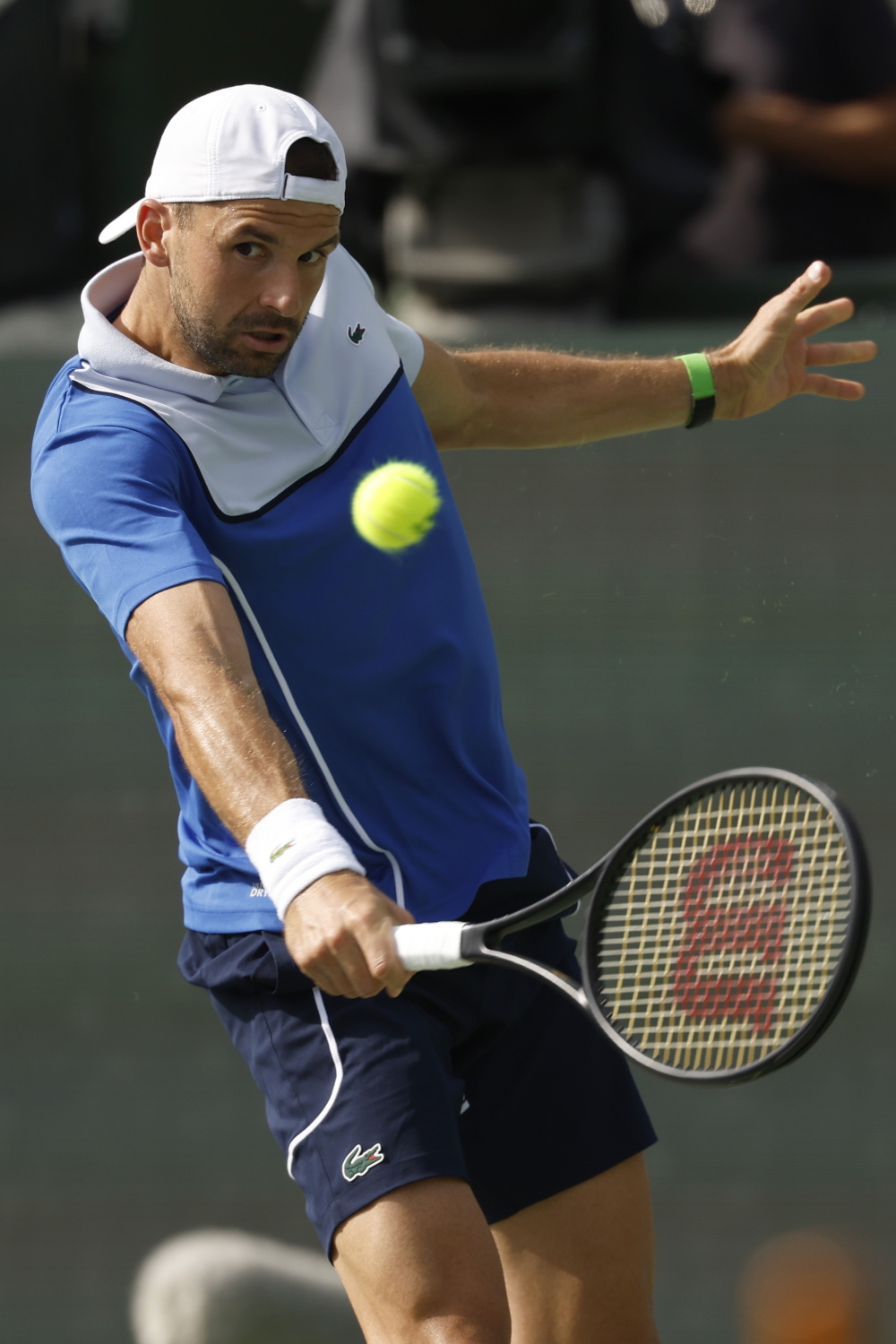 包含德国网球队爆冷西班牙网球队，梅德韦杰夫惊艳世界的词条