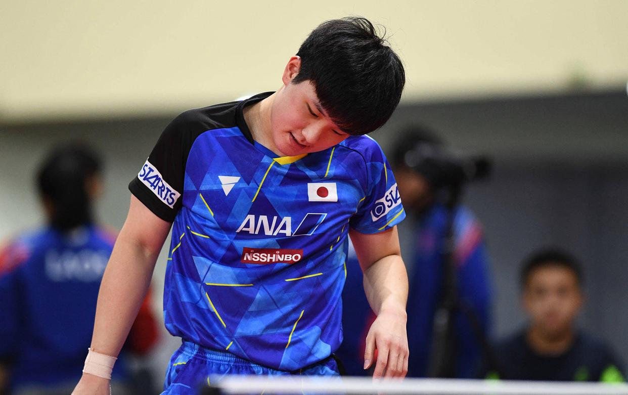 包含波兰乒乓球队血洗中国乒乓球队，张本智和打破历史纪录的词条