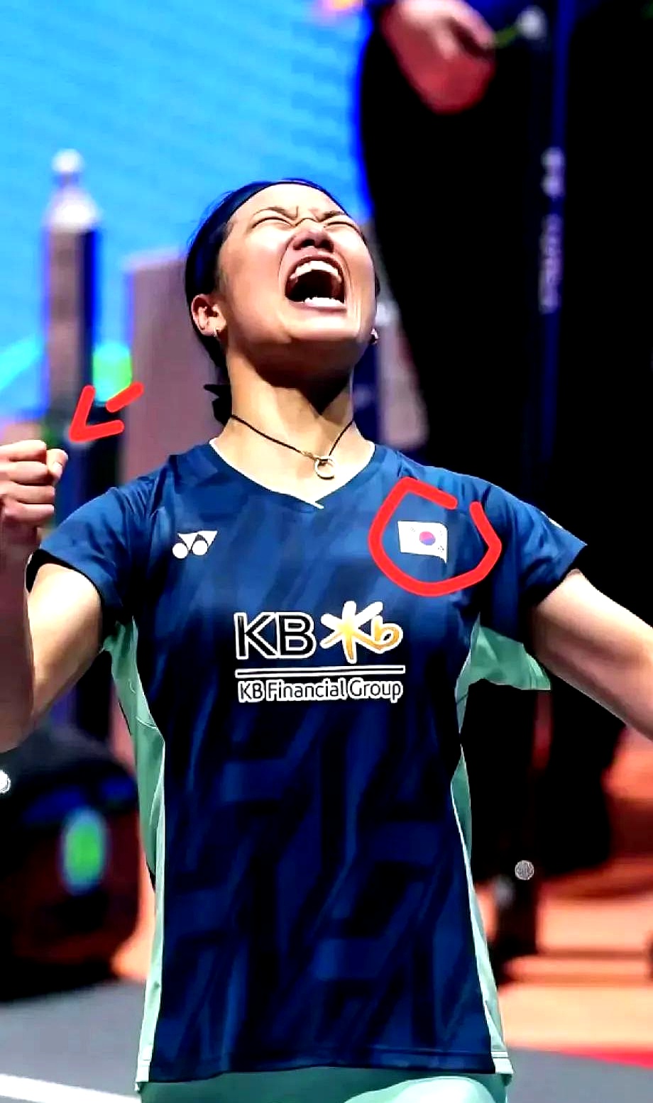 丹麦羽毛球队绝地反击韩国羽毛球队,辛杜惊艳世界的简单介绍 丹麦羽毛球队绝地反击韩国羽毛球队,辛杜惊艳世界的简单介绍