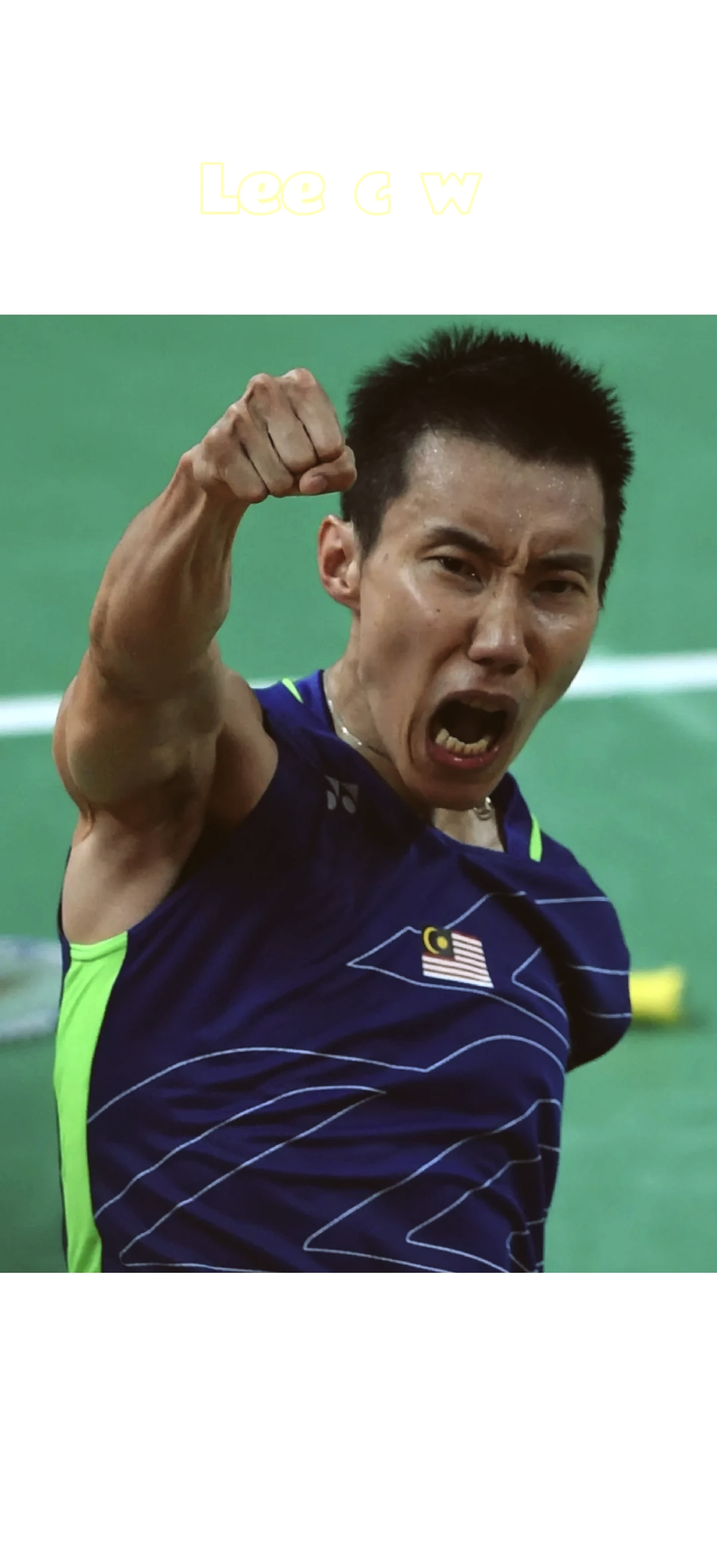 包含法国羽毛球队鏖战日本羽毛球队，李宗伟高光表现的词条