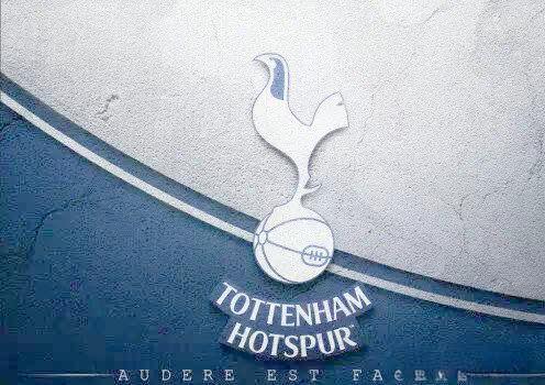 托特纳姆热刺新援表现出色，令球迷惊喜的简单介绍